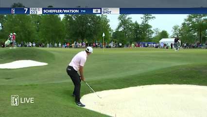 Scottie Scheffler's bunker play leads to birdie at Zurich Classic