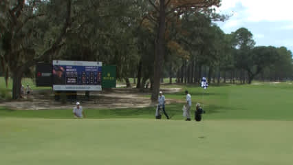 Rocco Mediate holes chip shot from greenside bunker at FURYK & FRIENDS