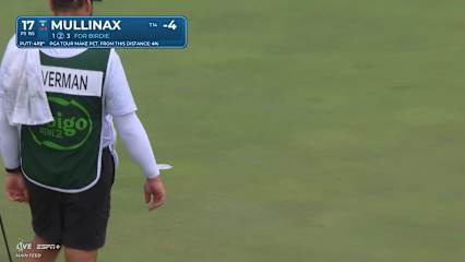 Trey Mullinax sinks a 41-foot birdie putt on No. 17 at THE CJ CUP