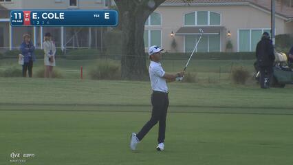 Eric Cole hits 162-yard approach to 8 feet, sets up birdie on No. 11 at Cognizant Classic