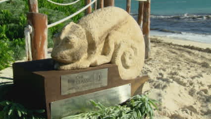 Weather interrupts play yet again at OHL Classic