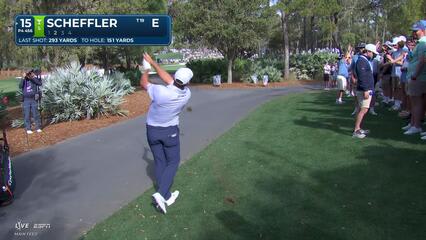 Scottie Scheffler sinks 27-foot birdie putt on No. 15 at THE PLAYERS