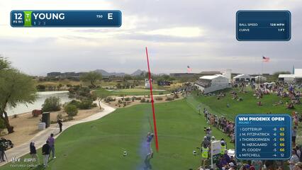Cameron Young hits 190-yard tee shot to 6 feet, sets up birdie on No. 12 at WM Phoenix Open