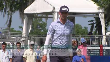 Smalley/Springer makes birdie on No. 13 at Zurich Classic