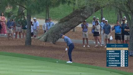 Justin Rose hits 172-yard approach to 1 foot, sets up birdie on No. 15 at THE PLAYERS