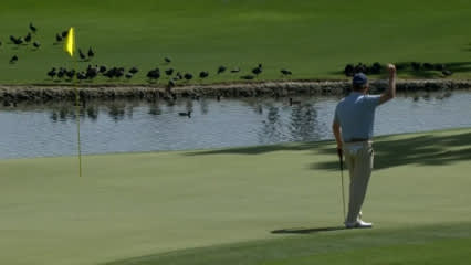 Jeff Maggert sends in eagle putt at Galleri Classic