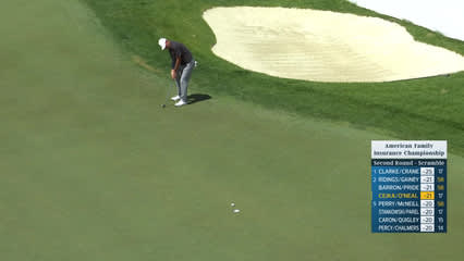 Team Cejka/O'Neal makes birdie on No. 18 at American Family Insurance Championship