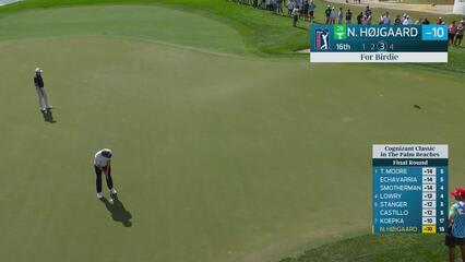 Nicolai Højgaard sinks 44-foot birdie putt on No. 16 at Cognizant Classic