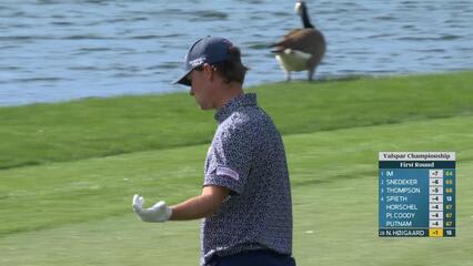 Nicolai Højgaard hits 176-yard approach to 6 feet, sets up birdie on No. 16 at Valspar