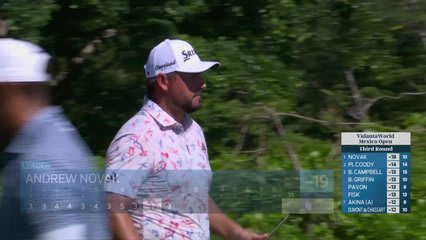 Andrew Novak's 143-yard approach sets up birdie on No. 10 at Mexico Open