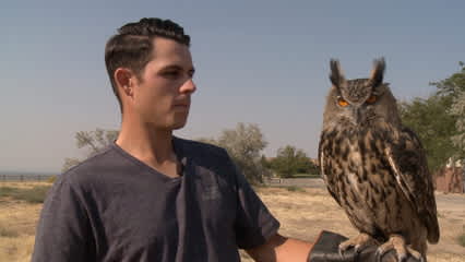 Matt Atkins visits World Center for Birds of Prey