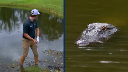 Vince Whaley plays from lake with gator looming at Sanderson Farms