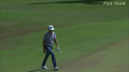 Scott Harrington's chip-in birdie on No. 15 in Round 4 at Corales Puntacana