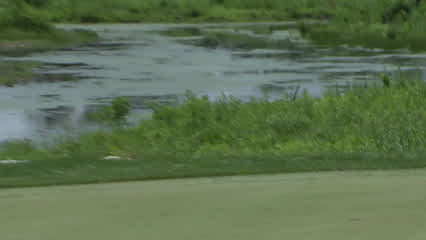 Team Cink/Johnson makes eagle putt on No. 2 at American Family Insurance Championship