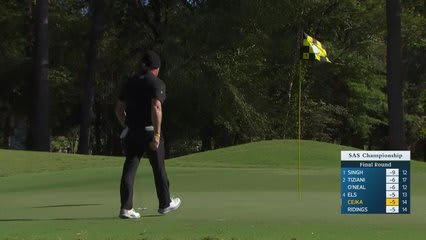 Alex Cejka makes birdie on No. 15 at SAS Championship
