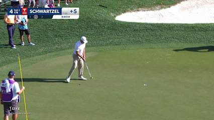 Charl Schwartzel makes 9-foot birdie putt at Valspar