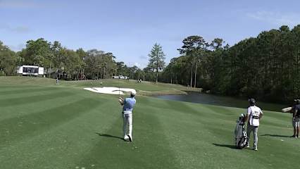 Cole Hammer makes birdie on No. 14 at Club Car Championship
