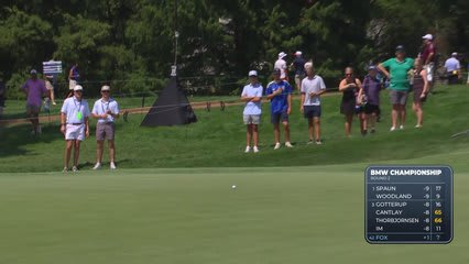 Ryan Fox sinks 17-inch putt for birdie on No. 8 at BMW Championship