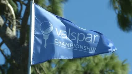 Four-way log jam atop the leaderboard at Valspar