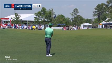 Padraig Harrington gets up-and-down for birdie at Houston Open