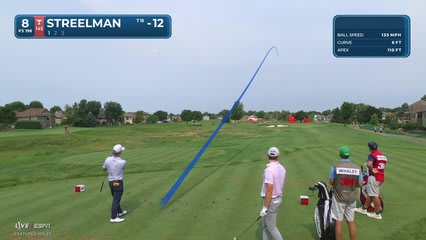 Kevin Streelman holes 62-foot shot from rough for birdie on No. 8 at 3M Open