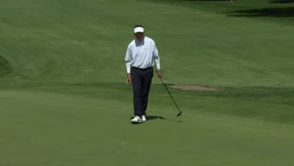 Paul Goydos curls in birdie putt at Ally Challenge