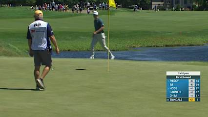 Cameron Tringale's chip shot sets up birdie at 3M Open