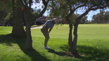 Golf is Hard | Riviera’s driveable 10th hole