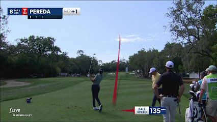 Raul Pereda's near ace leads to birdie at Valspar