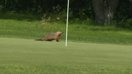 Erik Barnes takes two-shot lead at The Players Cup
