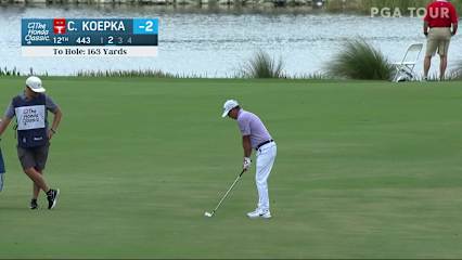 Chase Koepka approach lands and makes birdie on No. 12 in Round 3 at The Honda Classic