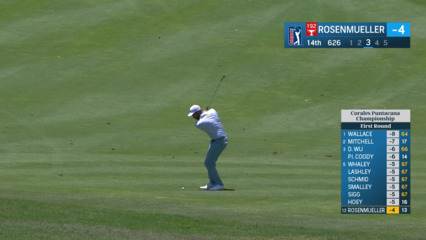 Thomas Rosenmueller holes out for eagle on No. 14 at Corales Puntacana