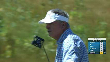 Paul Goydos knocks in 26-foot birdie at 3M Open