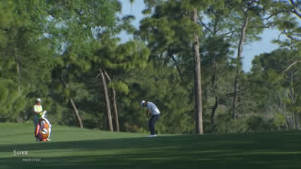 Danny Lee spins approach to set up birdie at Valspar