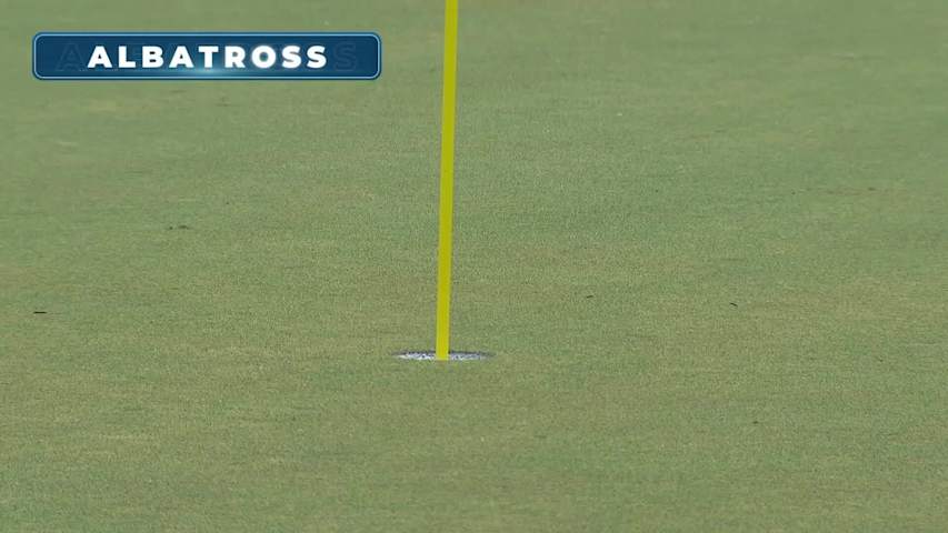 Max McGreevy's incredible 246-yard albatross is the Shot of the Day