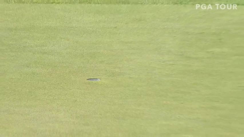 David Frost rolls in lengthy birdie putt at Principal