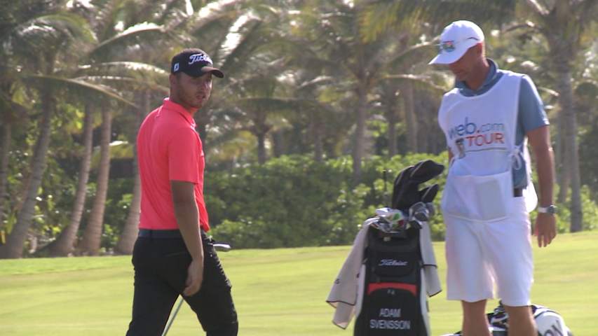 Adam Svensson's delicate chip is the Shot of the Day