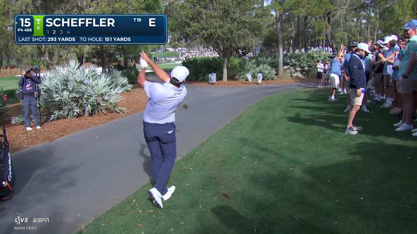 Scottie Scheffler sinks 27-foot birdie putt on No. 15 at THE PLAYERS