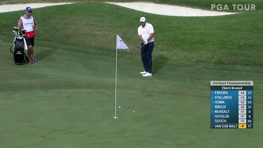Dawie van der Walt chips in for birdie at Fortinet Championship
