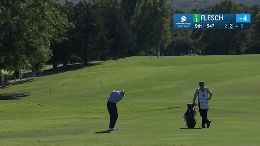 Steve Flesch's flop shot onto green leads to birdie at Dominion