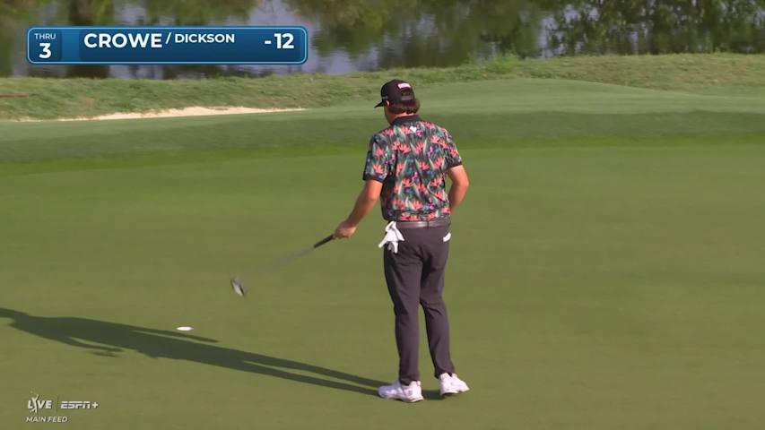 Trace Crowe nearly aces No. 3 at Zurich Classic