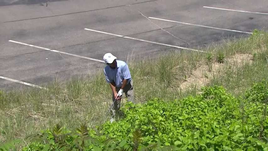 Tracy Phillips’ great shot from tall grass at KitchenAid Senior PGA Championship