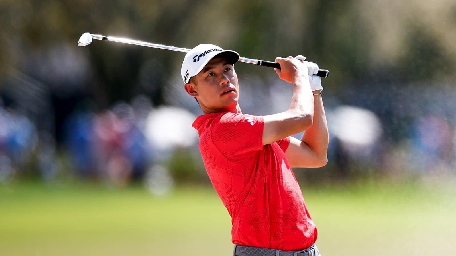 Collin Morikawa’s Round 3 highlights from Arnold Palmer Invitational