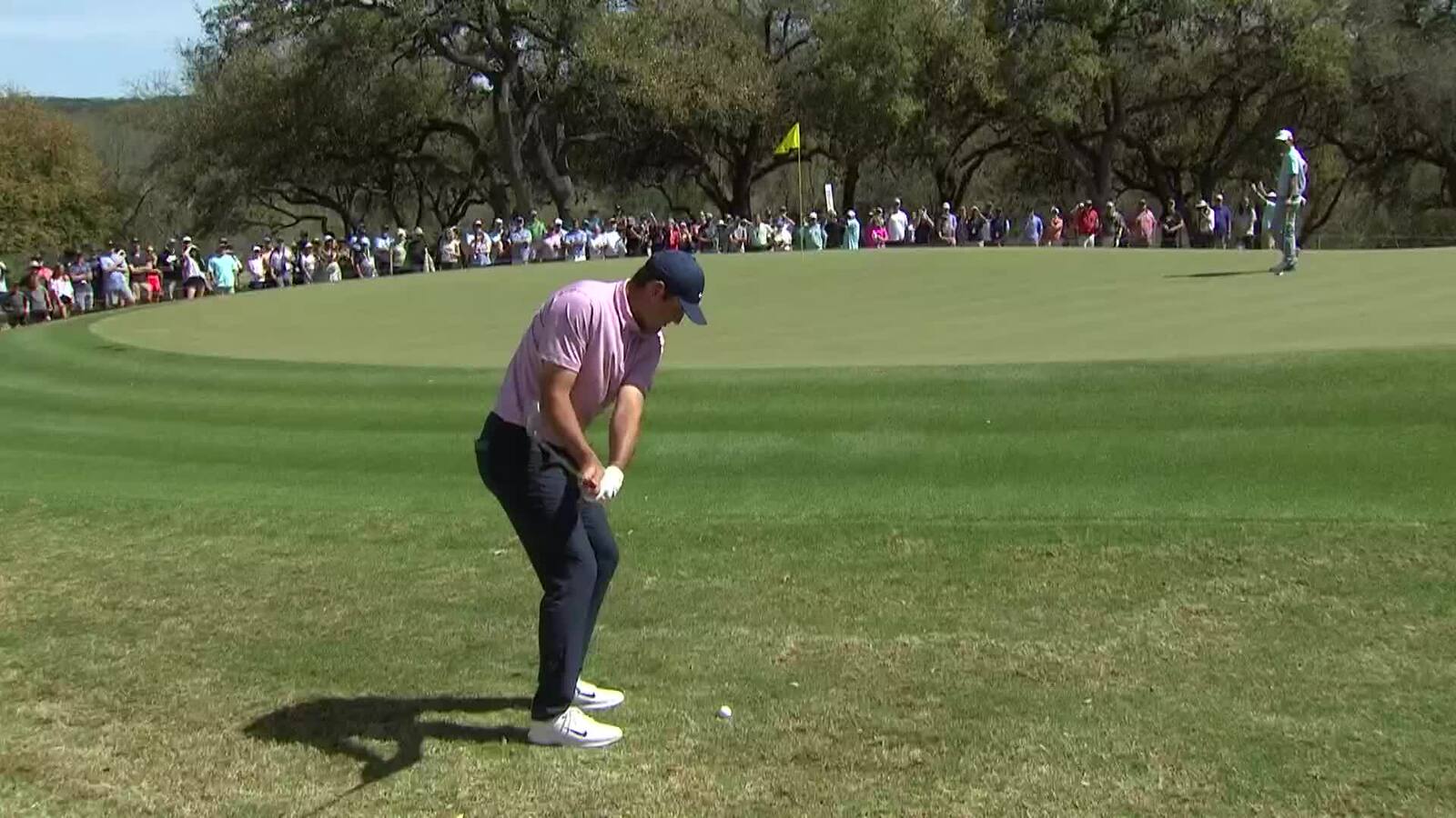 Scottie Scheffler chips it tight to set up birdie at WGC-Dell Match Play
