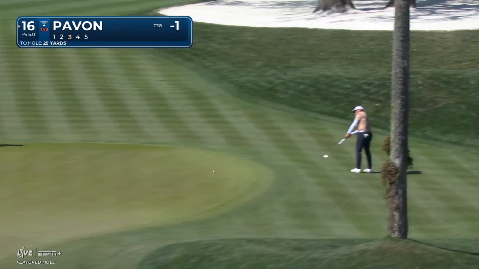Matthieu Pavon's chip sets up birdie at THE PLAYERS