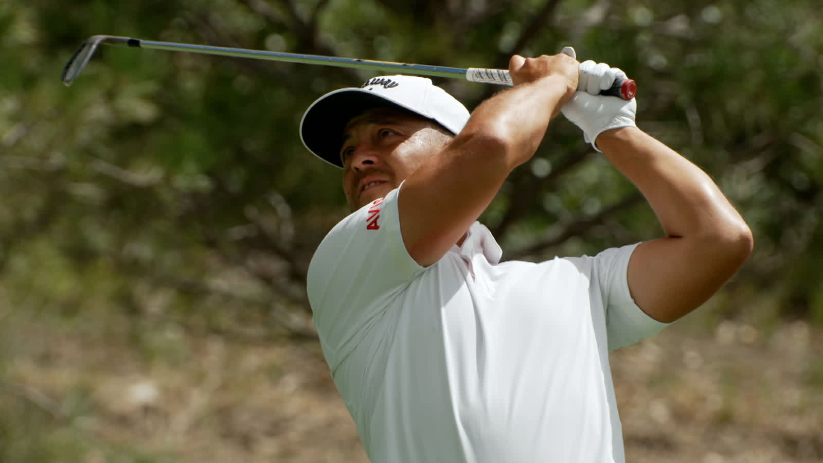 2025 FedExCup winner prediction