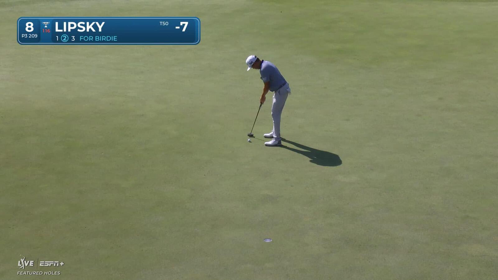 David Lipsky makes birdie on No. 8 at 3M Open