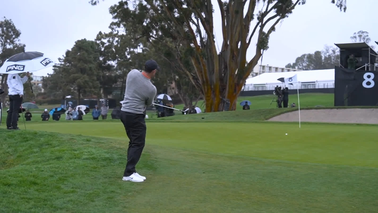 Rory McIlroy chips in for birdie from 56 feet at Genesis