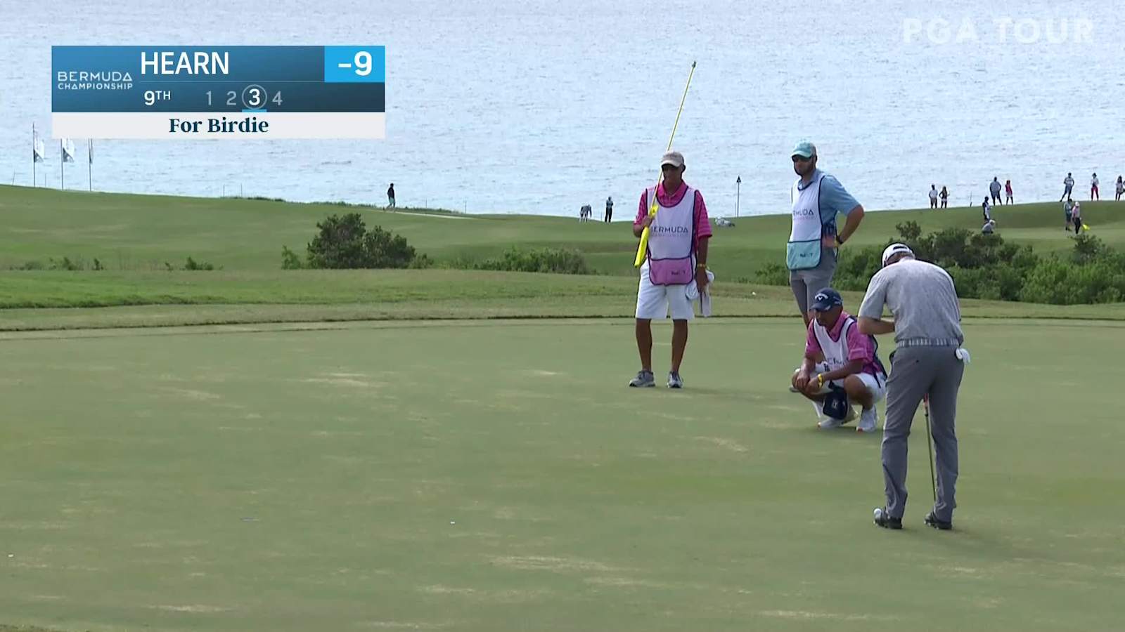 David Hearn drains birdie putt at Bermuda