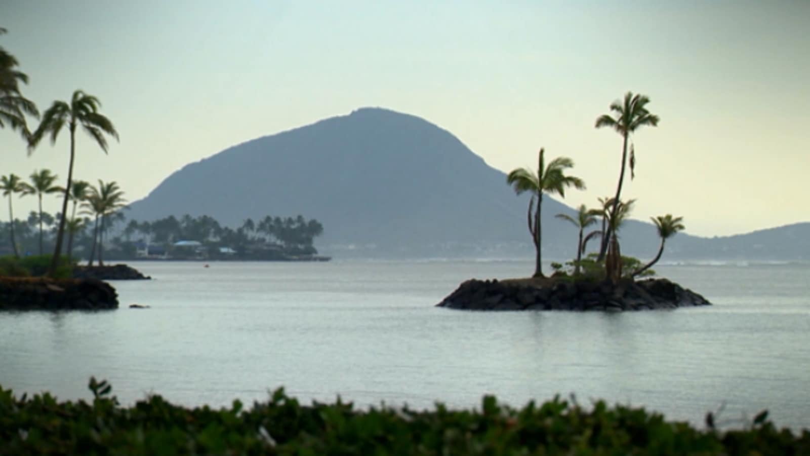 A look ahead to 2017